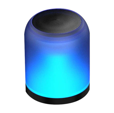 Bluetooth 5.0 Wireless Speaker